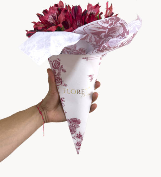 LIGERO DE ASTROMERIAS