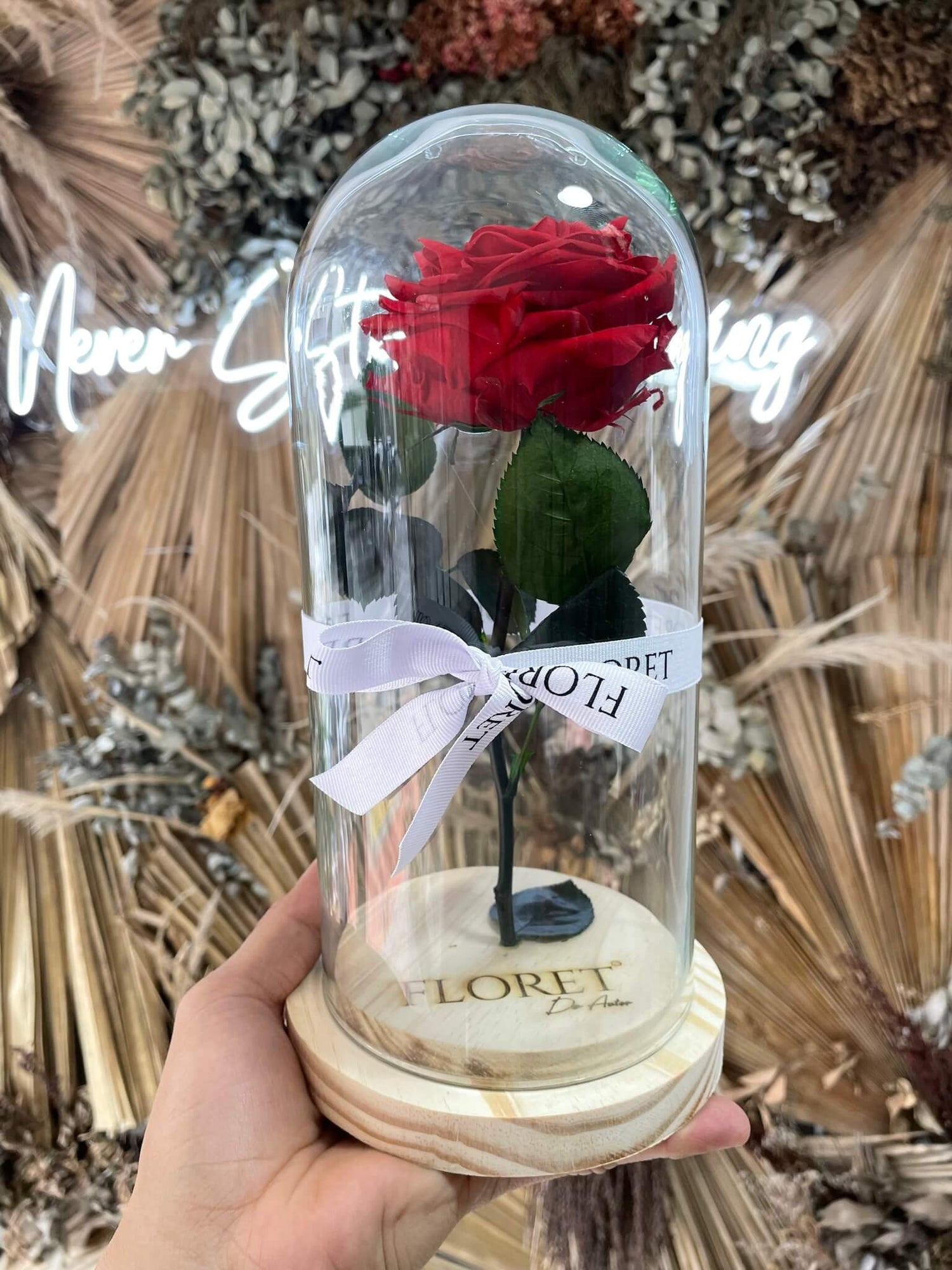 Rosas Rojas