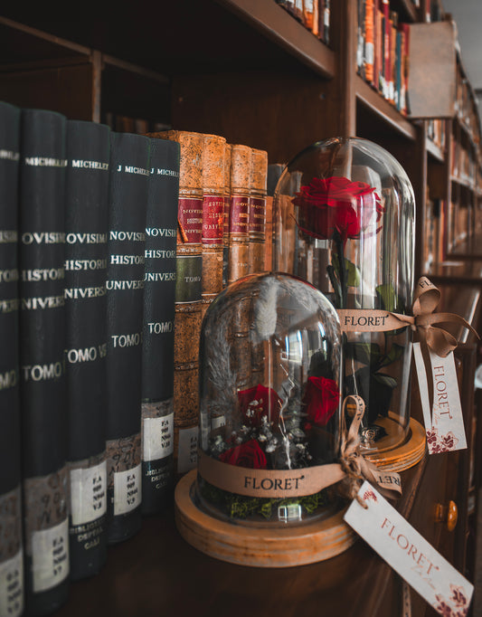 Flores preservadas que no se marchitan en urna de vidrio MINI FLOREVER