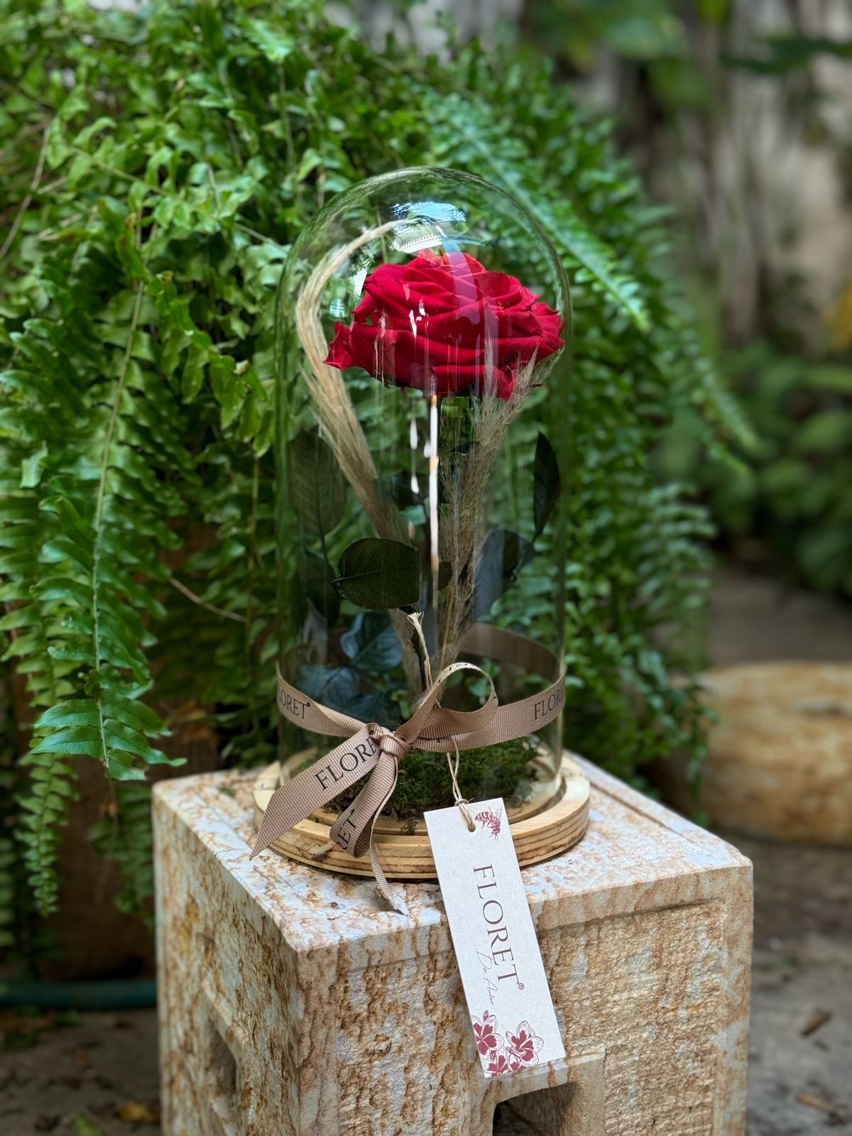 Flor Preservada que no marchita en urna de vidrio - FLOREVER