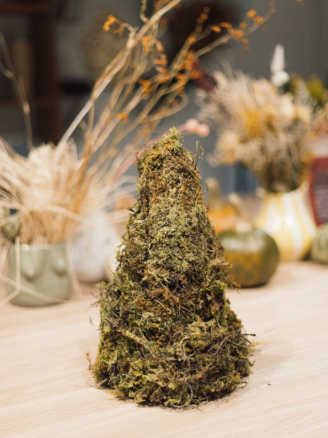 ARBOL DE MUSGO PRESERVADO