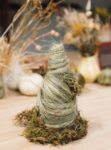 ARBOL DE MUSGO PRESERVADO